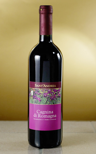 bottiglia2ok_886.jpg