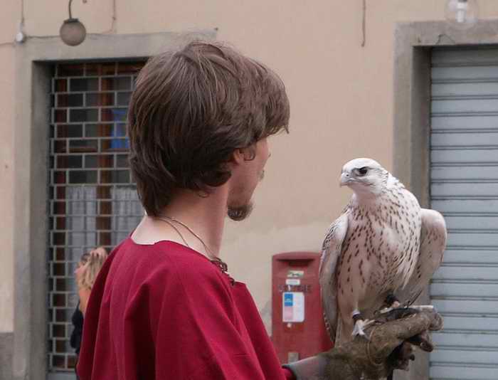 Brami con il Girifalco Bianco d'Irlanda.JPG