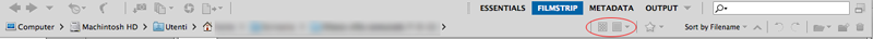 bridge.png
