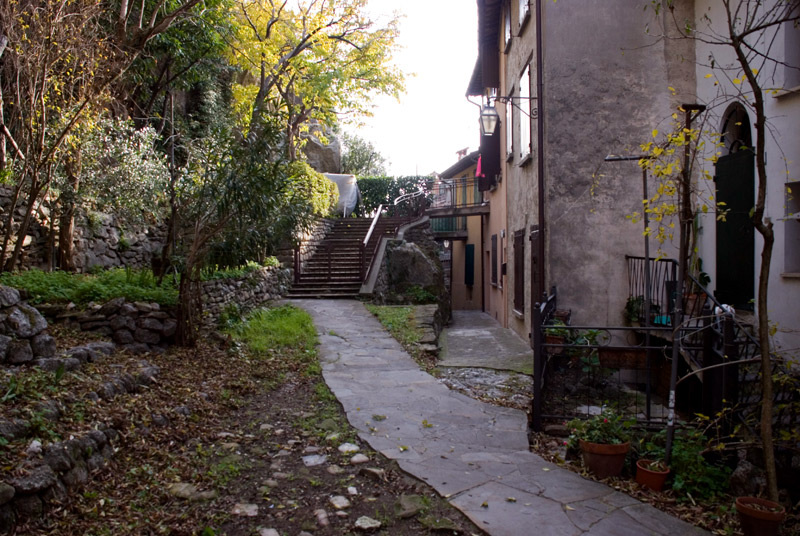 BRISIGHELLA---controvia-degli-asini_1.jpg