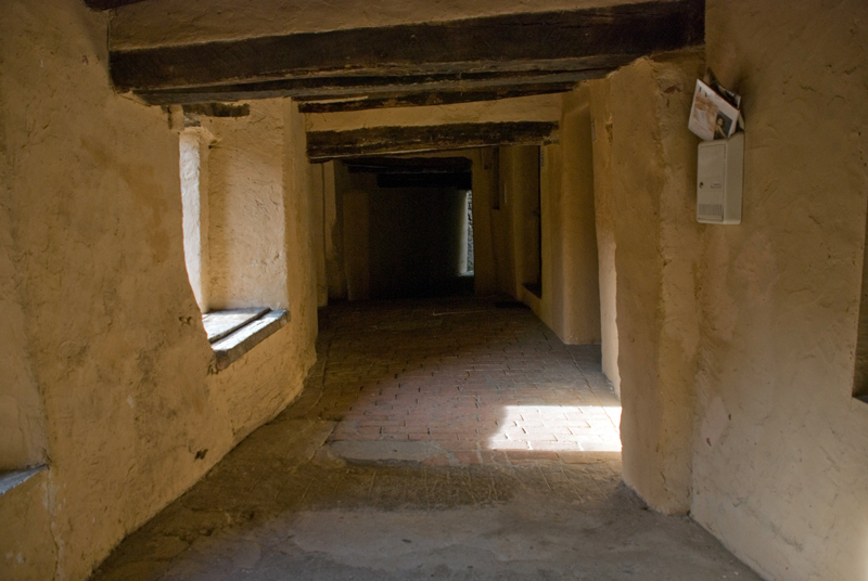 BRISIGHELLA---controvia-degli-asini_3.jpg