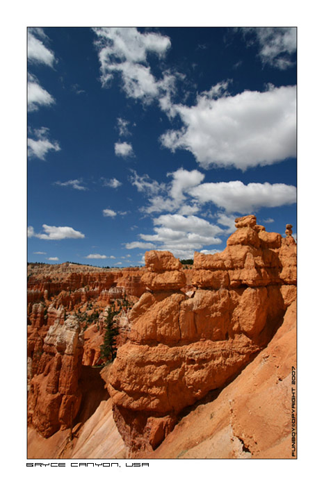 BryceCanyonUSA (5).jpg