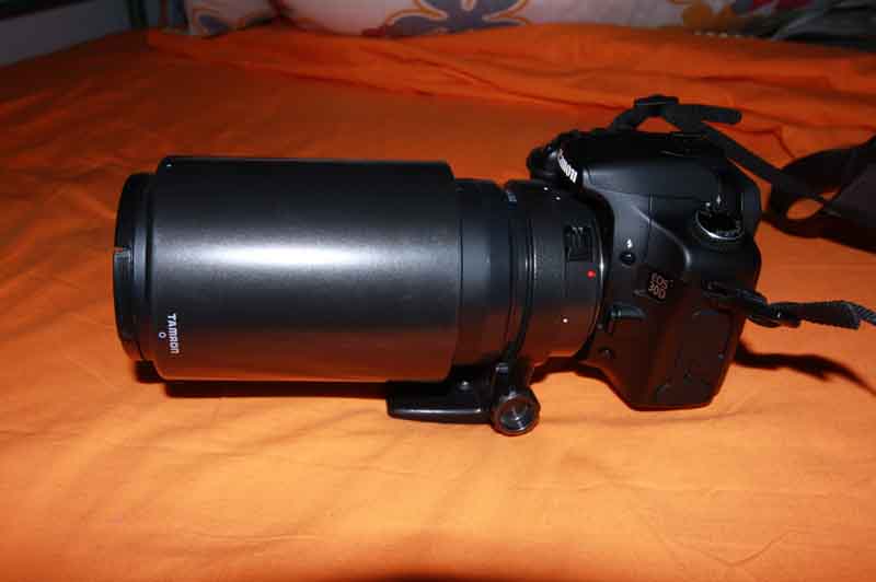 bul 003.jpg