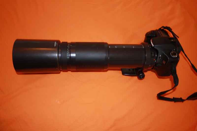 bul 006.jpg