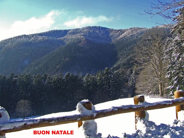 Buon Natale - 2006.jpg
