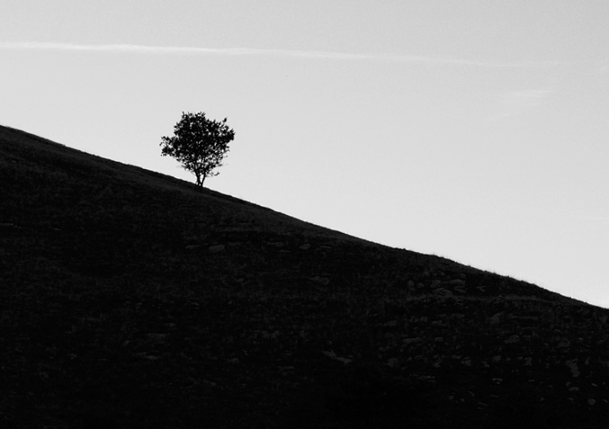 bw.jpg