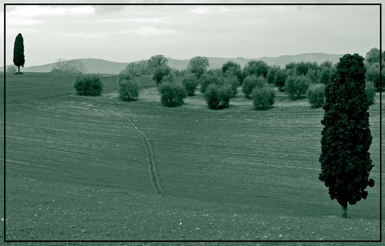 BZ010082.jpg