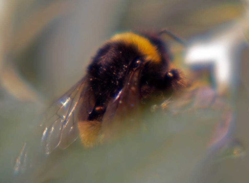 BZ090028.jpg