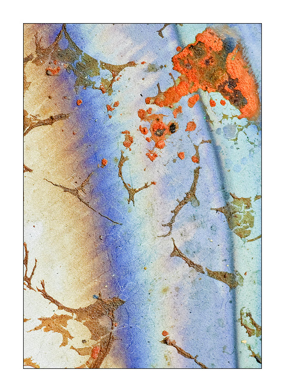 C3780.jpg