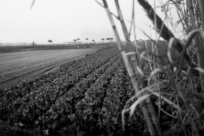 C_052_237 COPIA copia.jpg