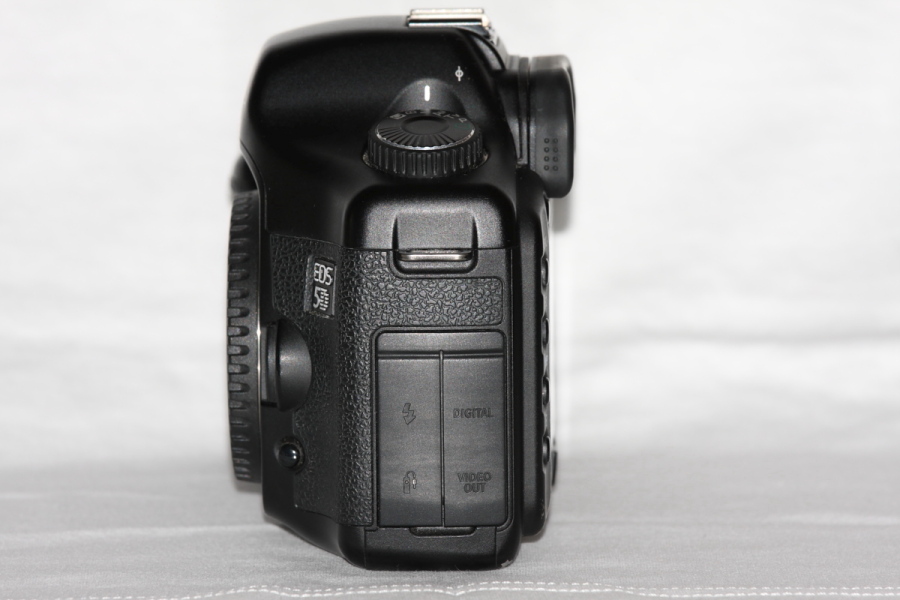 C 5D 005.JPG