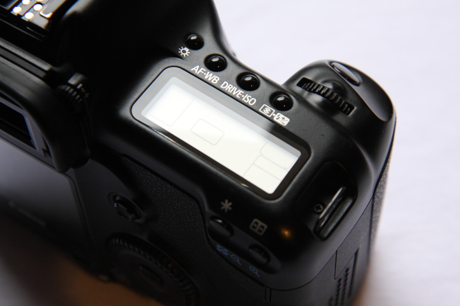 C 5D 008.JPG