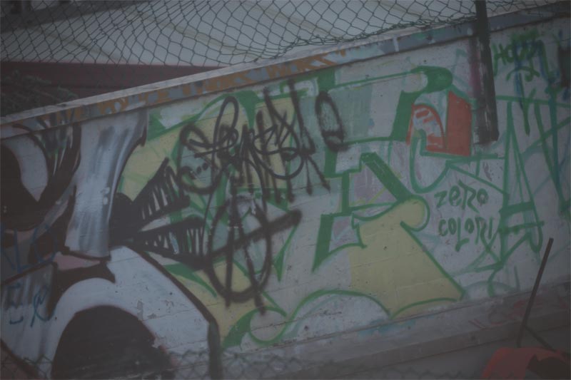 cacatoio-nitidezza.jpg