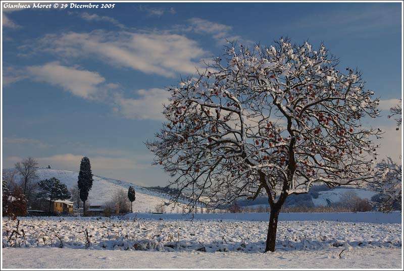 CACHI-NEVE.jpg
