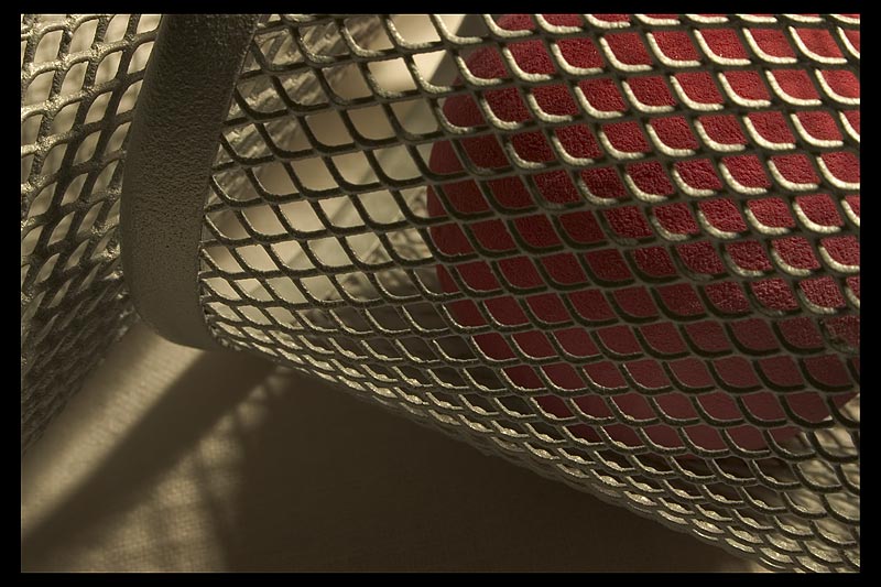 cage.jpg