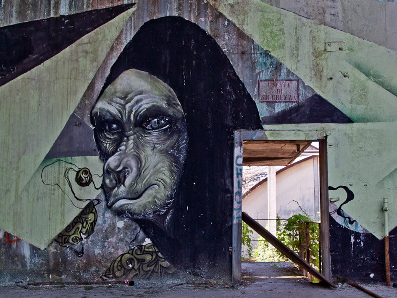 Cairate_graffiti_30_800-200k.jpg