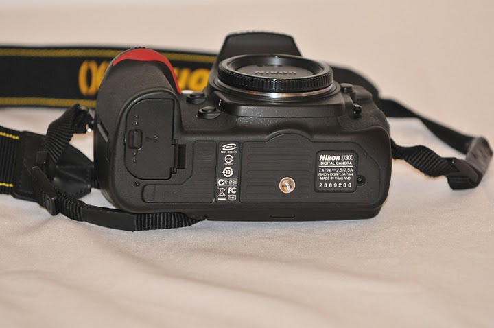 CAM_7780.JPG