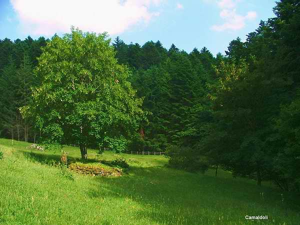 Camaldoli 04.jpg