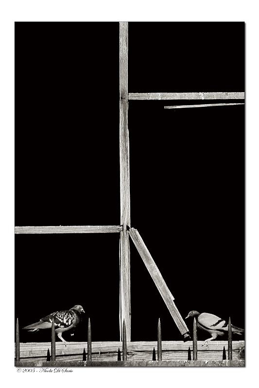 Camera-Mortuaria.jpg
