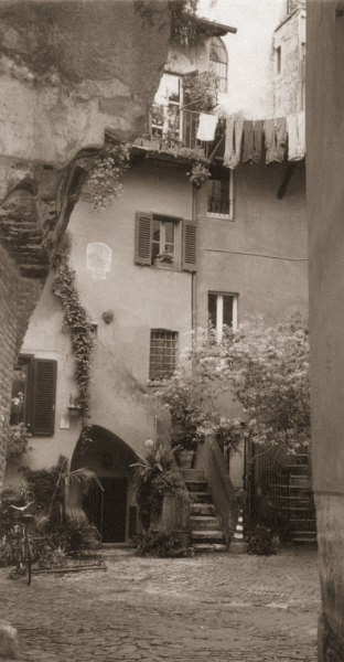 camfior.jpg