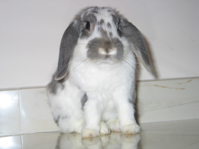 camillo 016.jpg