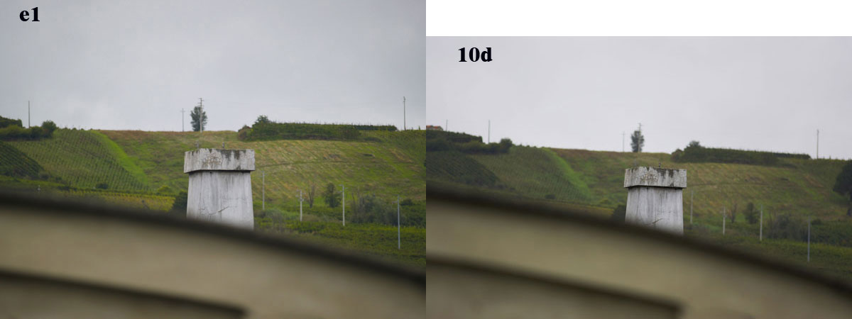 camino.jpg