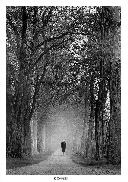 camminando-tra-la-nebbia-noise-simul2.jpg