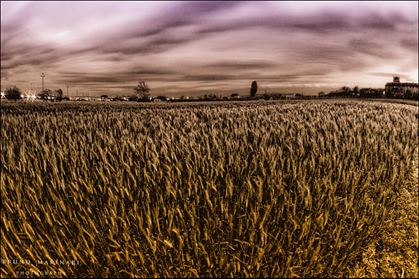 Campagna-al-tramonto2aa.jpg