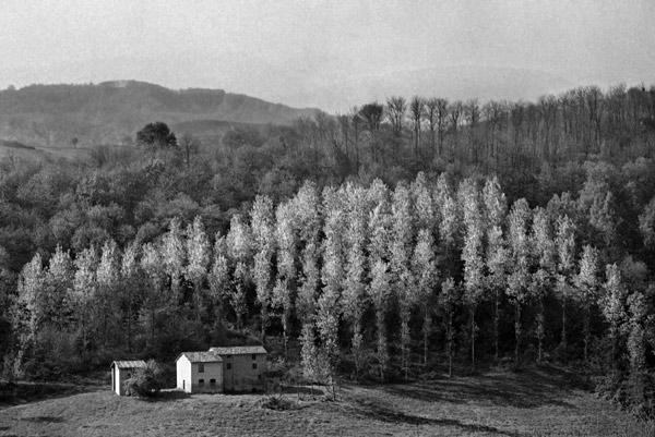 Campagna-parmense-copia.jpg