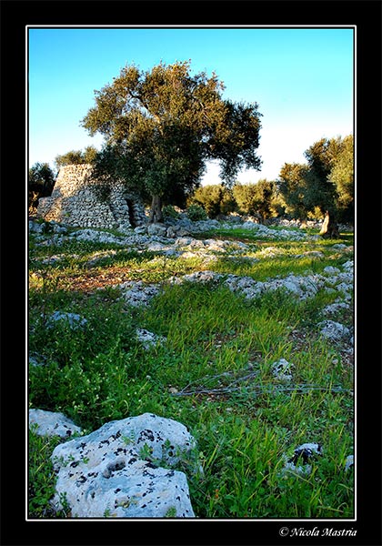 campagna2.jpg
