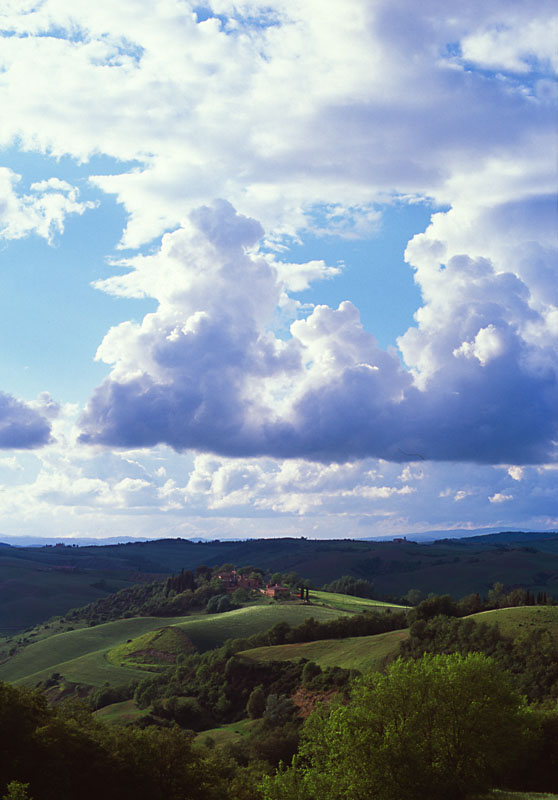Campagna3 copia.jpg