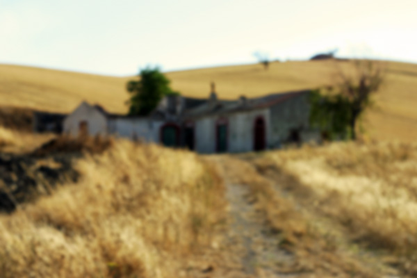campagna.jpg