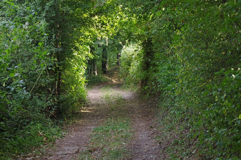 Campagna_800.JPG
