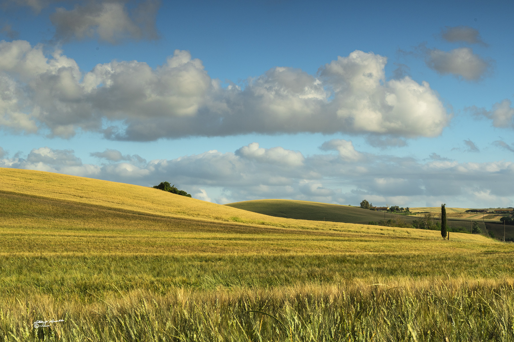 Campagna Pisana-006B.jpg