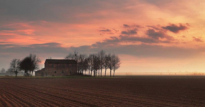 Campagna ravennate.jpg