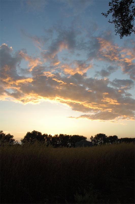 Campagna salentina.jpg