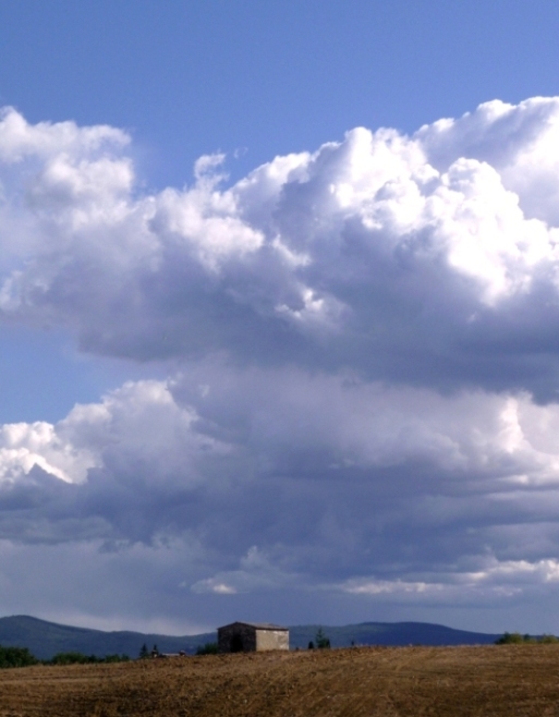 Campagna senese 2.JPG
