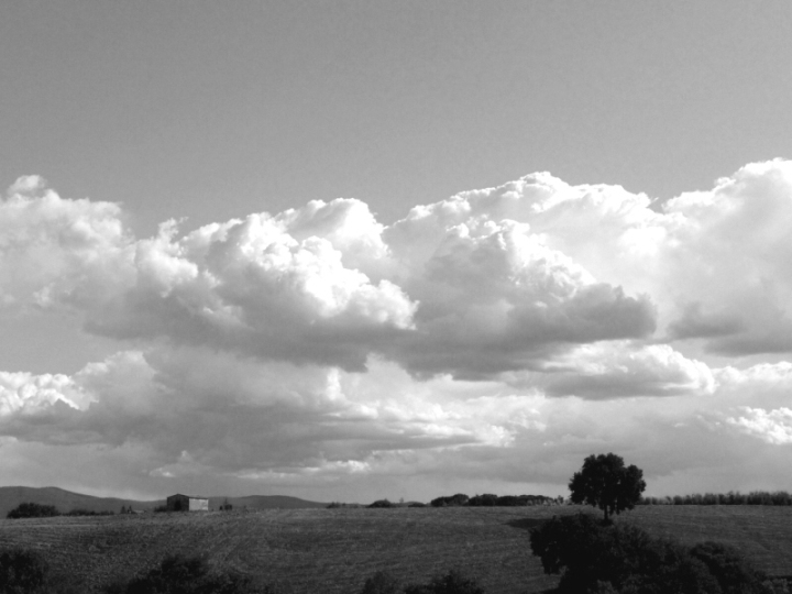 Campagna senese bn.JPG