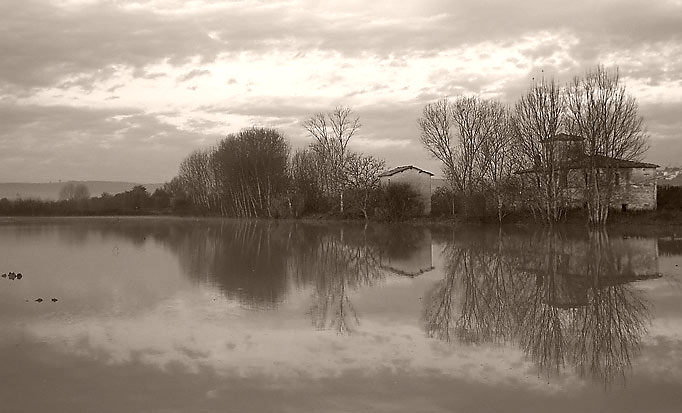 campi-allagat-sepia.jpg