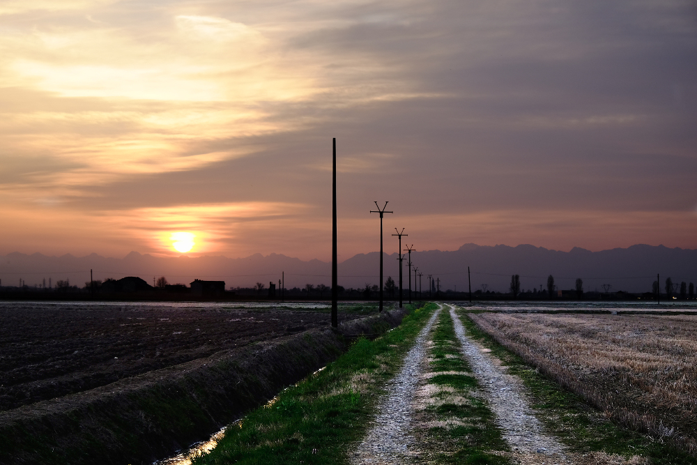 Campi al tramonto.JPG