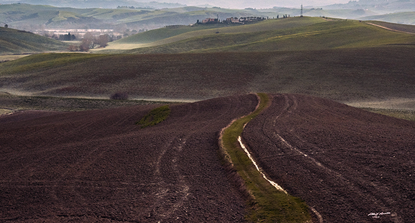 campisenza-dominante.jpg