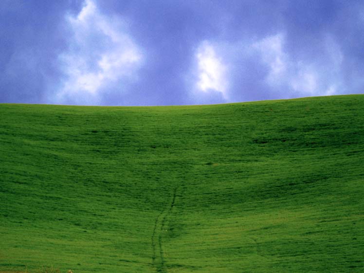 campo.jpg