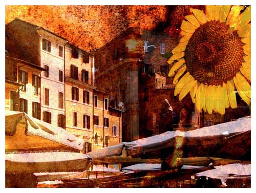 Campo dei fiori.jpg