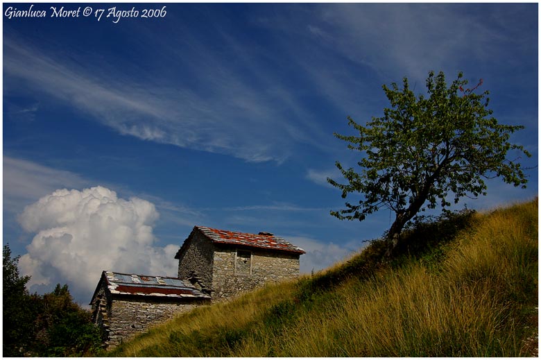Campocatino-alb.lum..jpg