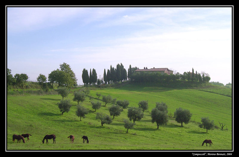 Campoccoli_web_photo4u_2.jpg