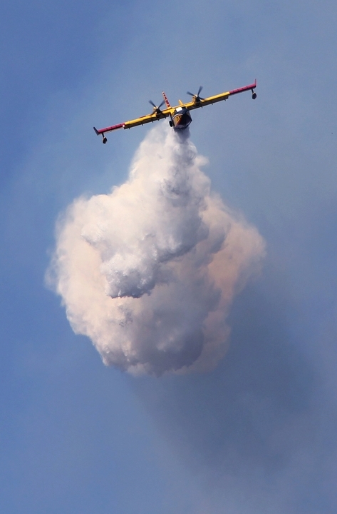 Canadair 6-2.JPG