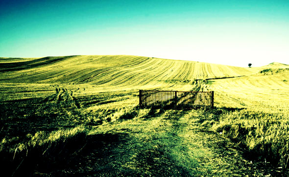 cancello-xpro.jpg