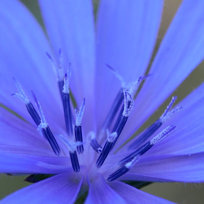 candeline-crop-centrale.jpg
