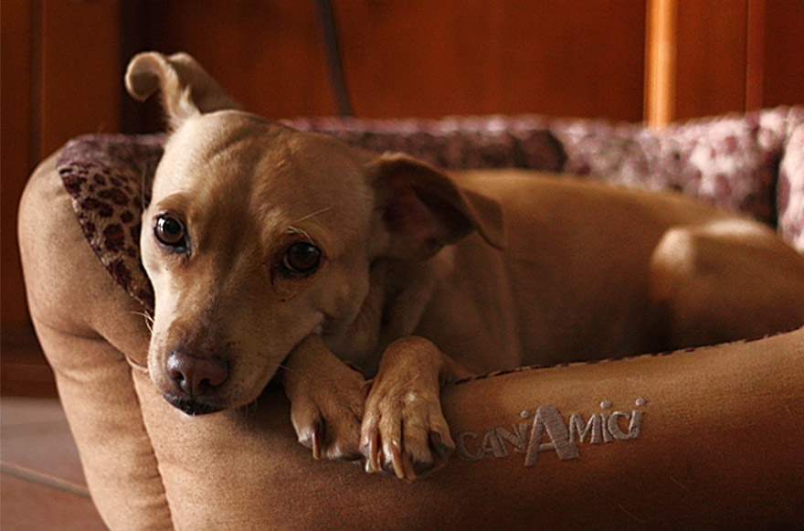 cane.jpg