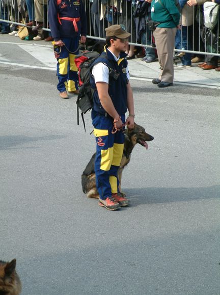 Cane.JPG